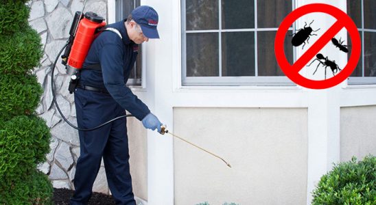 Kızılırmak Dezenfeksiyon böcek ilaçlama ve haşere kontrolü — ilaclama-tr.com